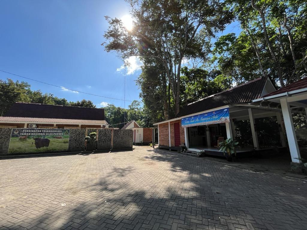 Capital O 92612 Penginapan D'Alas Purwo & Beachnearpadang Savana Sadengan Banyuwangi  Exteriör bild
